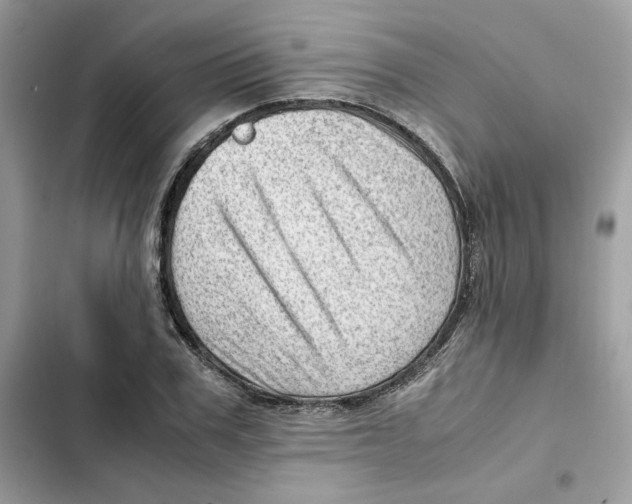 X0000101960979200808151311