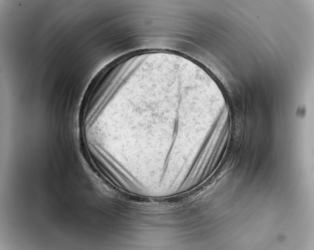 X0000101960980200808151311