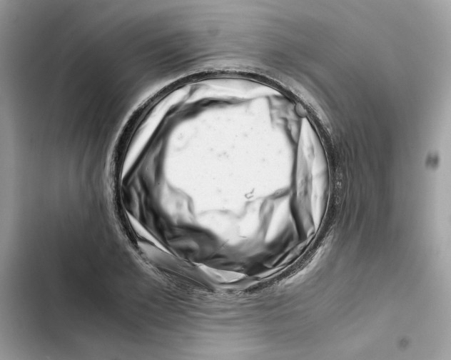 X0000101960981200808151311