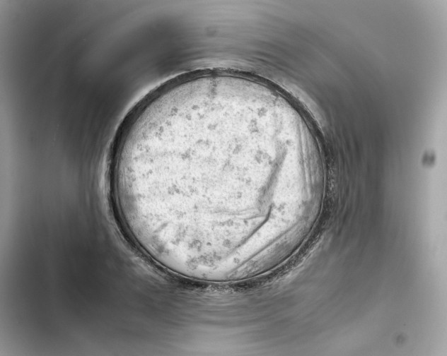 X0000101960983200808151311