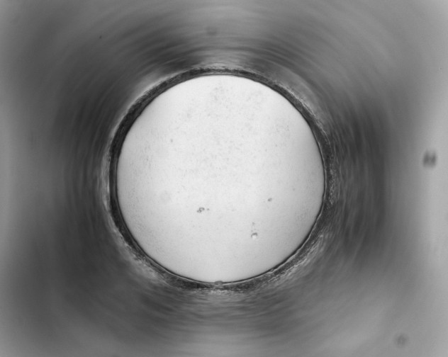 X0000101960984200808151311
