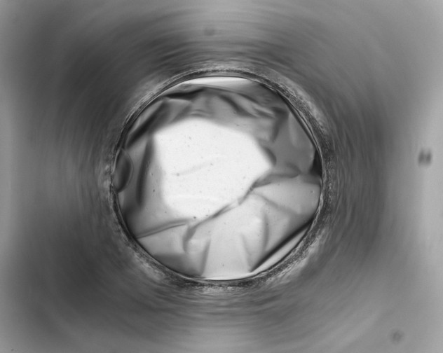 X0000101960985200808151311