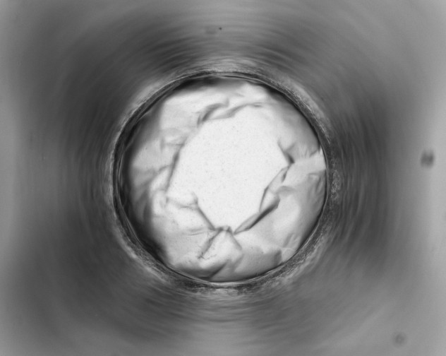 X0000101960986200808151311