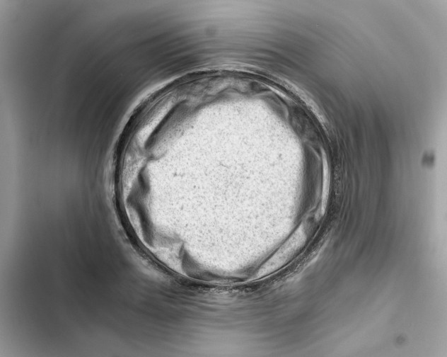 X0000101960987200808151311