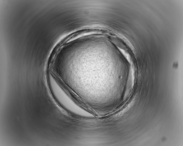 X0000101960989200808151311