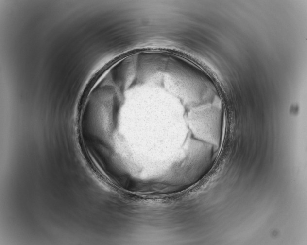 X0000101960990200808151311