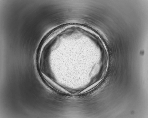 X0000101960991200808151311
