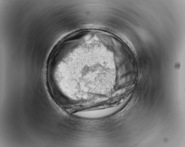 X0000101960992200808151311