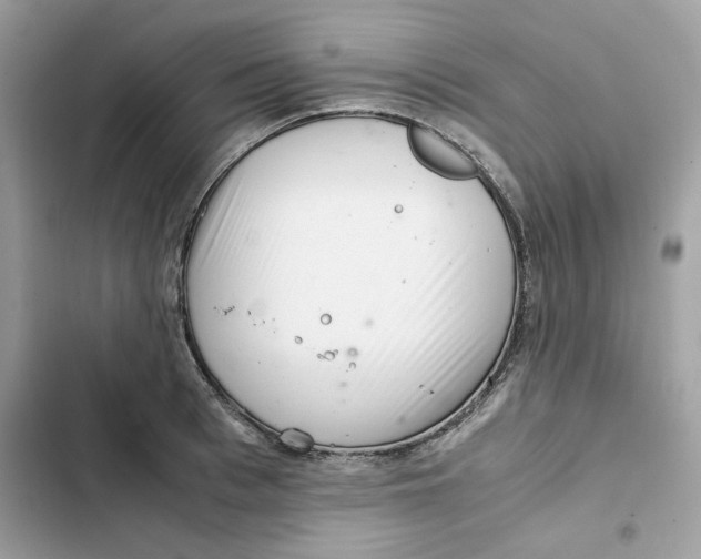 X0000101960993200808151311