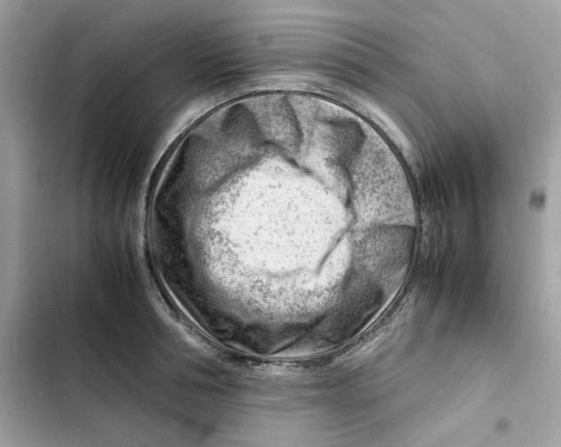 X0000101960994200808151311
