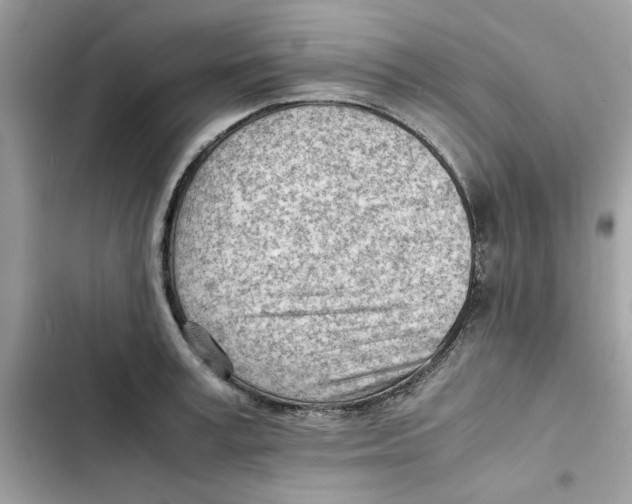X0000101960995200808151311