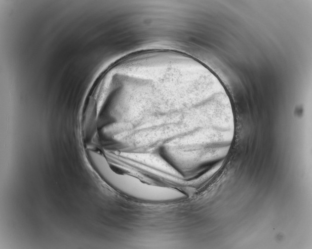 X0000101960996200808151311