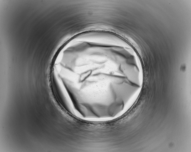 X0000101960997200808151311