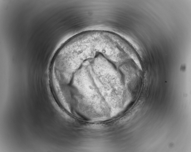 X0000101960998200808151311