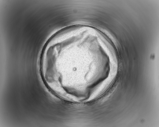 X0000101960999200808151311