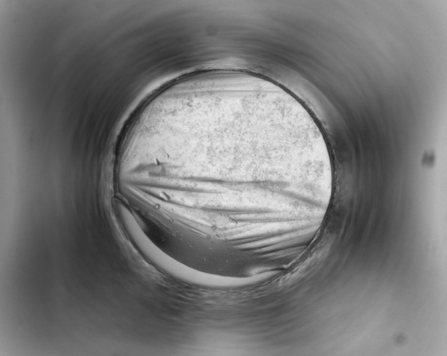 X0000101961000200808151311