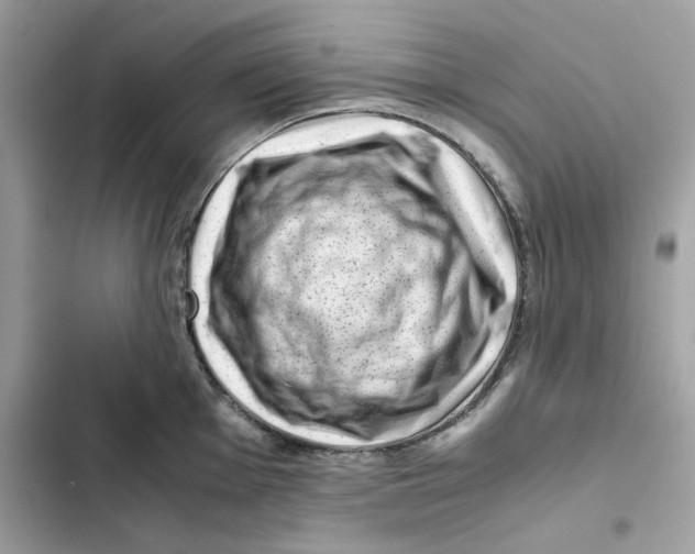 X0000101961001200808151311