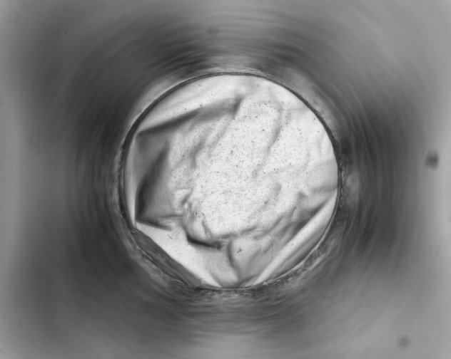 X0000101961002200808151311