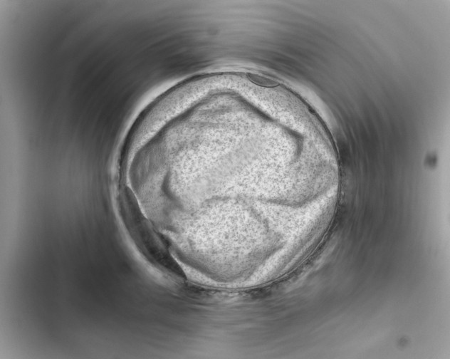 X0000101961003200808151311