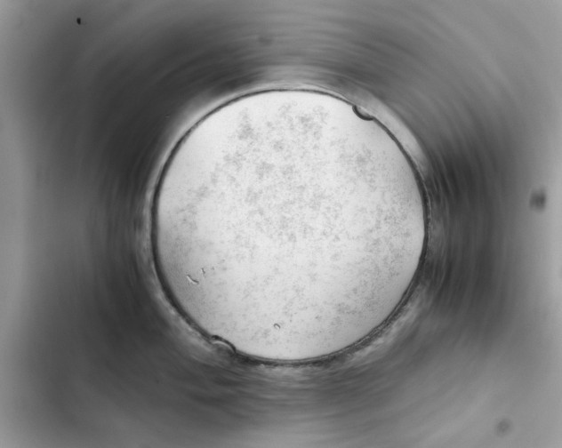 X0000101961004200808151311