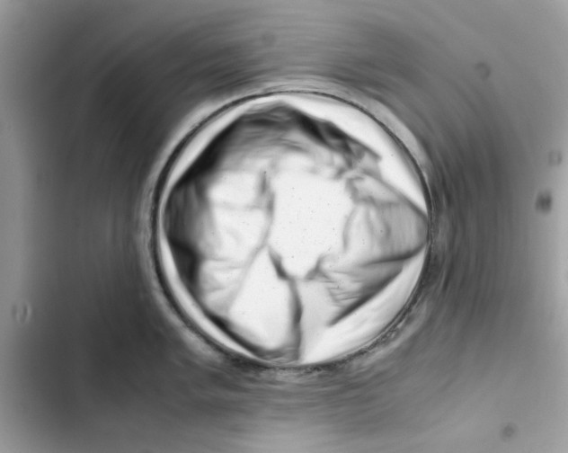 X0000101961005200808151311