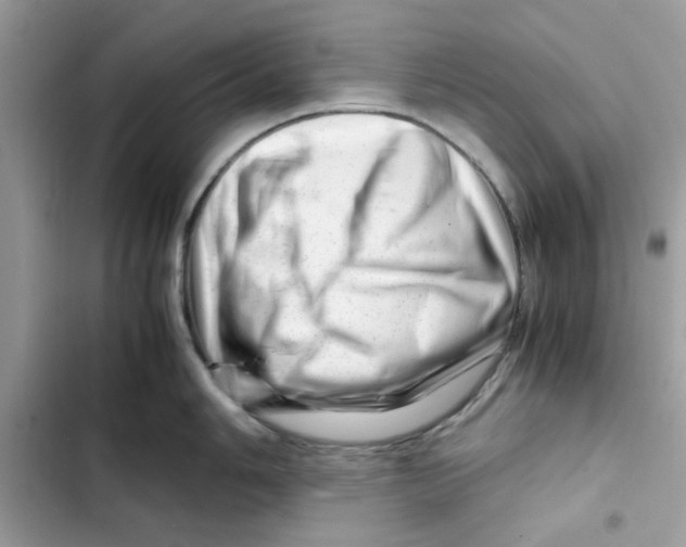 X0000101961006200808151311