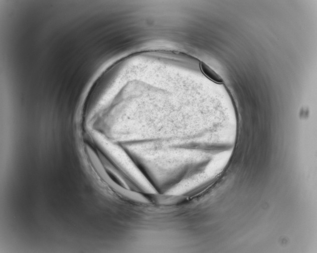X0000101961008200808151311