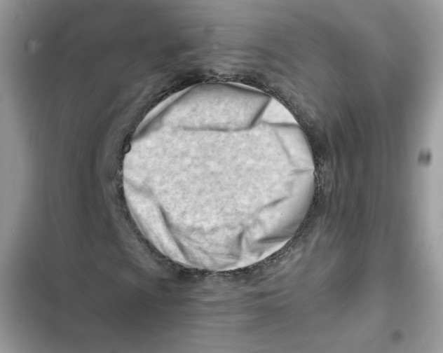 X0000101961009200808151310