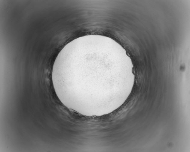 X0000101961010200808151310