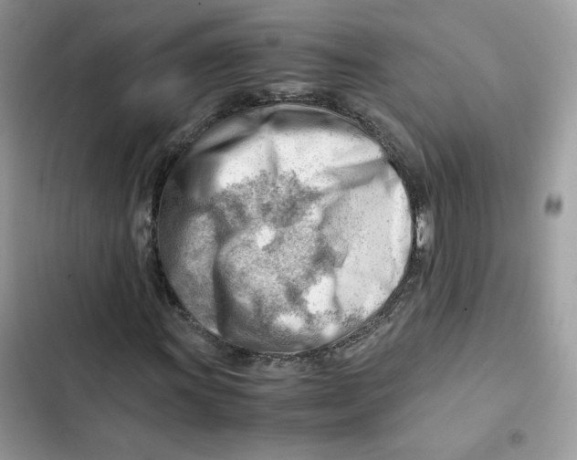 X0000101961011200808151310