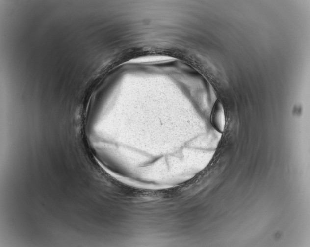 X0000101961012200808151310
