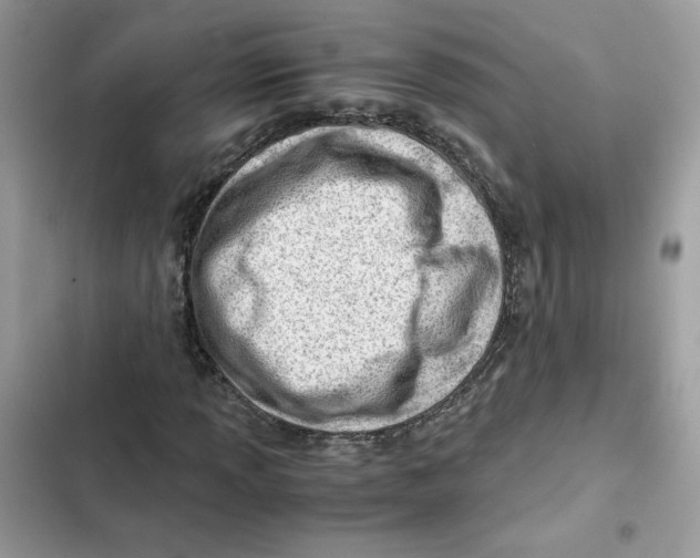 X0000101961013200808151310