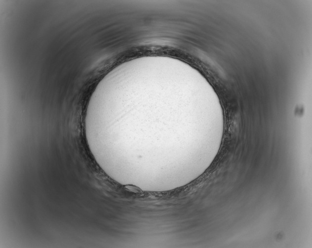 X0000101961014200808151310
