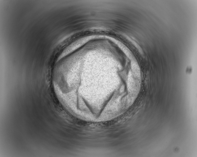 X0000101961015200808151310