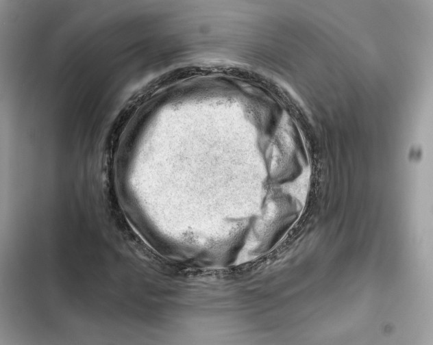 X0000101961016200808151310