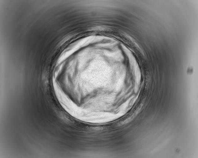 X0000101961017200808151310