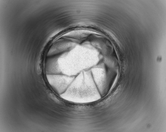 X0000101961018200808151310