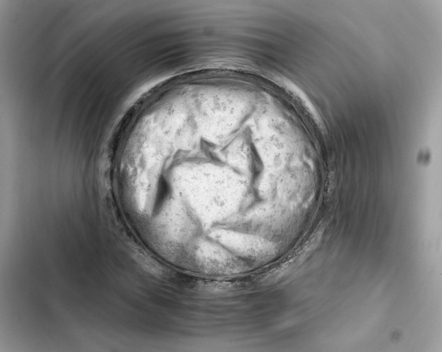 X0000101961019200808151310