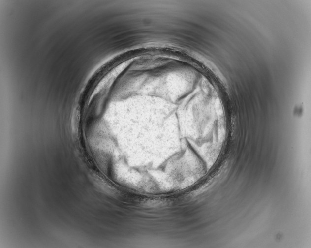 X0000101961021200808151310