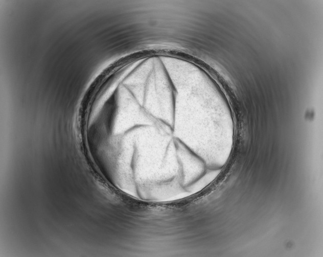 X0000101961022200808151310