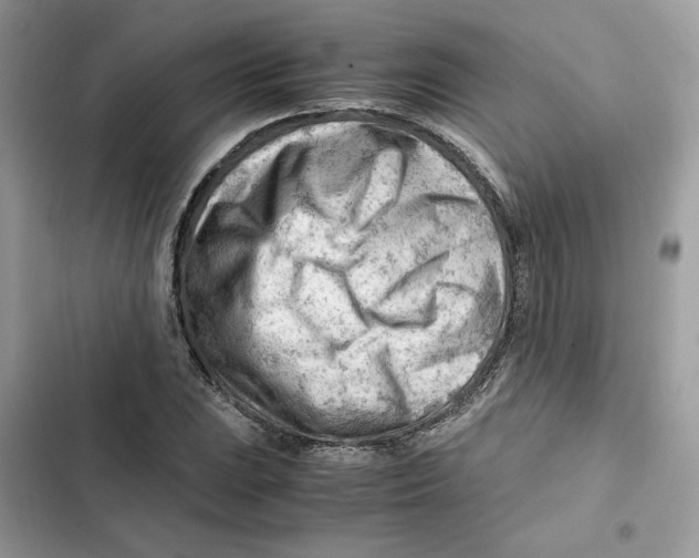 X0000101961023200808151310
