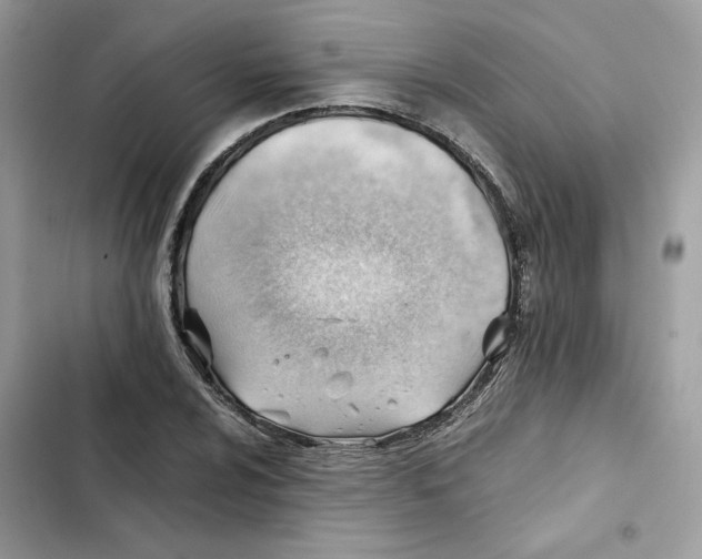 X0000101961024200808151310
