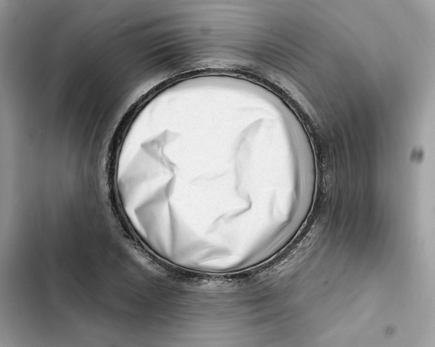 X0000101961026200808151310