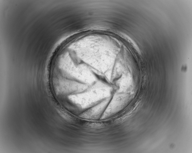 X0000101961027200808151310