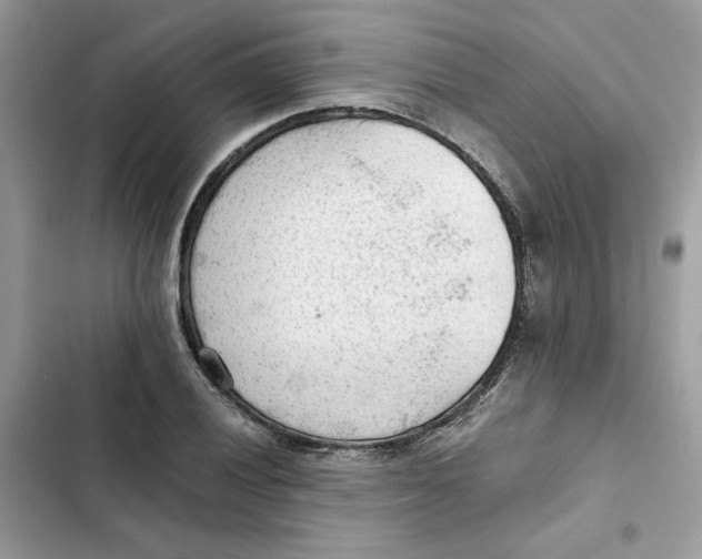 X0000101961028200808151310
