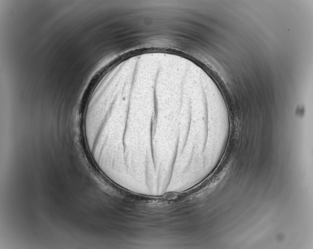 X0000101961029200808151310