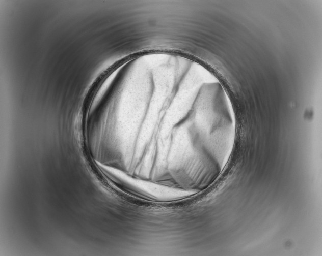 X0000101961030200808151310