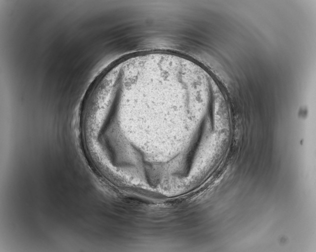 X0000101961031200808151310