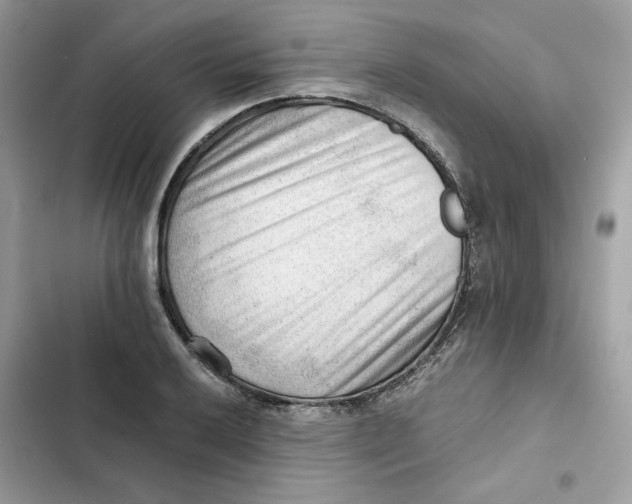 X0000101961032200808151310