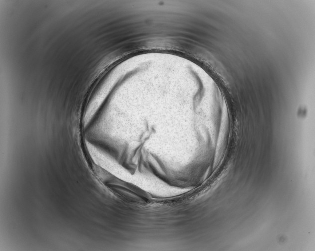 X0000101961033200808151310
